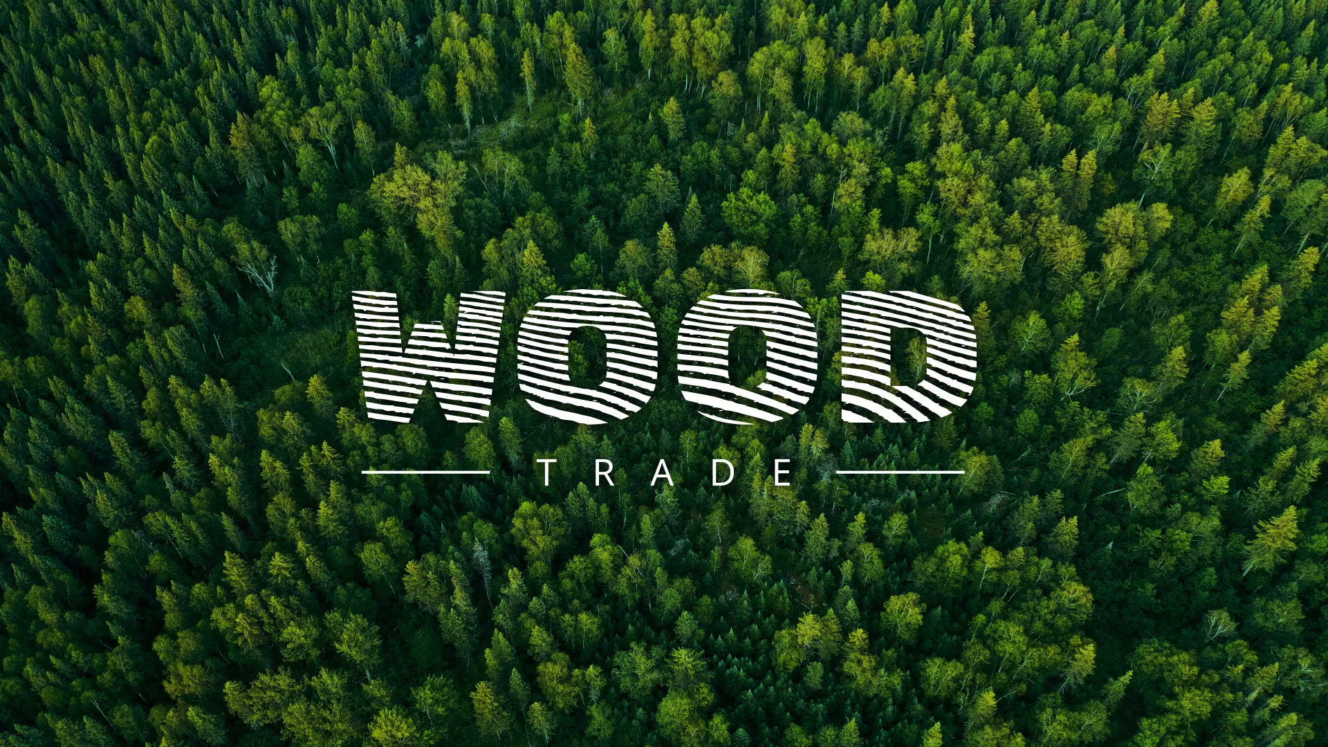 Разработка интернет-магазина компании «Wood Trade» в Казани